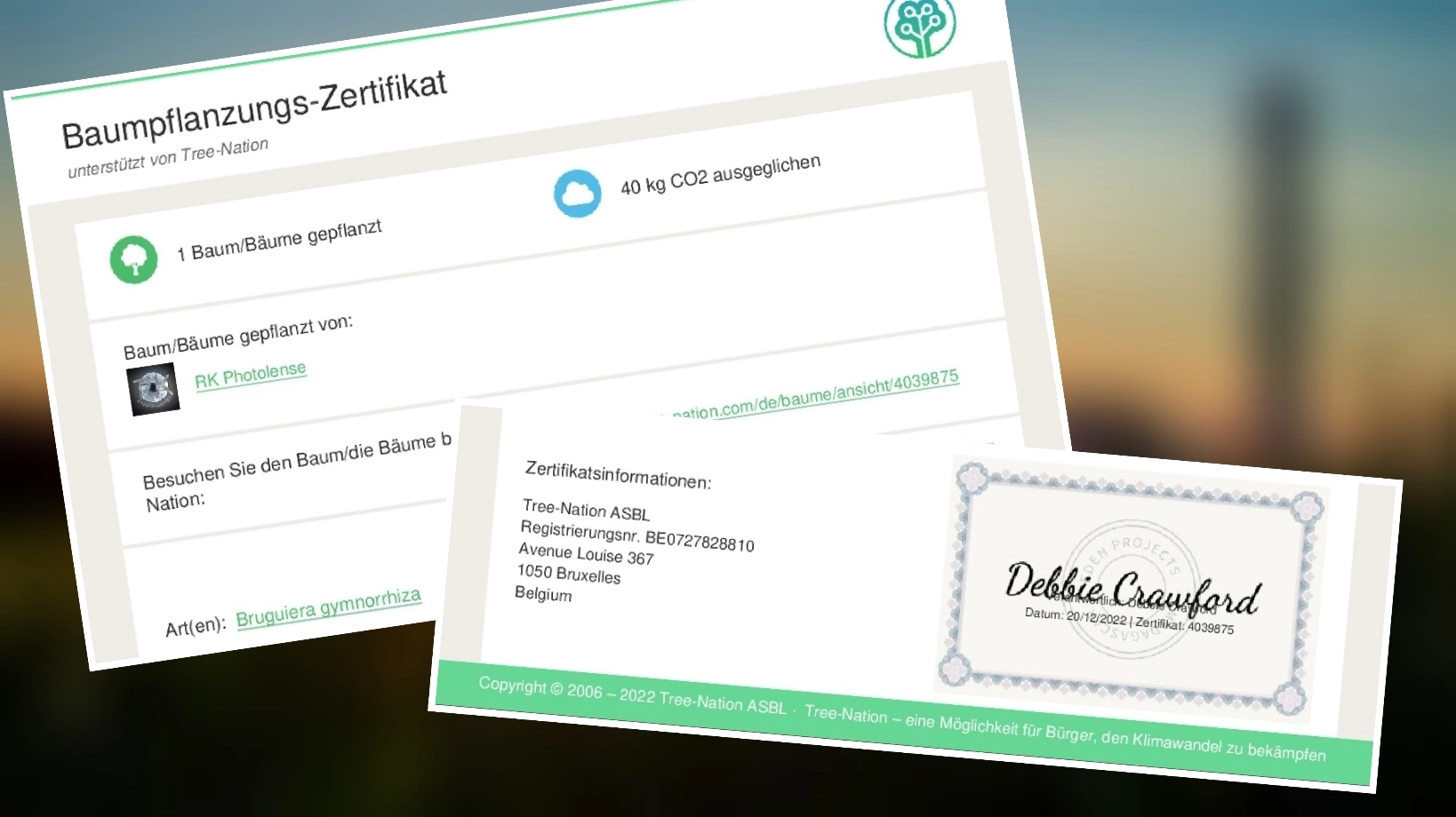 Zertifikat